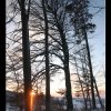 IMG_9710